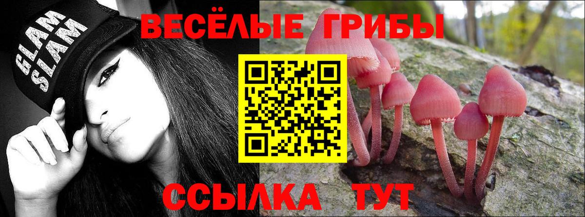 Галлюциногенные грибы Psilocybe Берёзовский