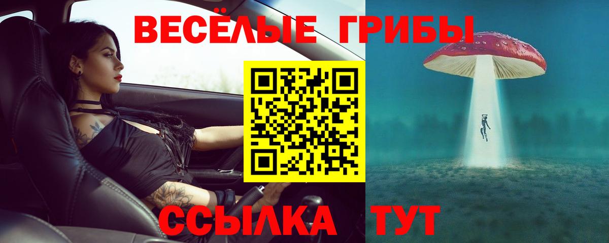 Псилоцибиновые грибы мицелий  купить наркоту  Вход с VPN  Берёзовский  Псилоцибиновые грибы MAGIC MUSHROOMS 